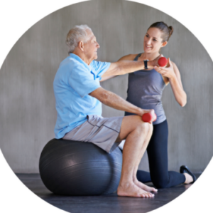 Physiotherapy exercises for back pain